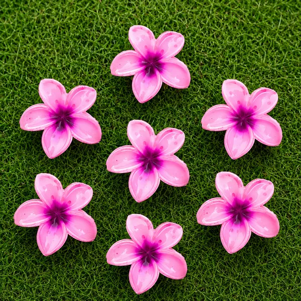 Pink_Abs_Plastic_Flower_Korean_Claw_Clip_For_Women_(Pack_Of_7)