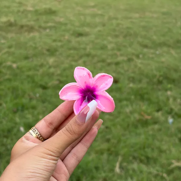 Pink_Abs_Plastic_Flower_Korean_Claw_Clip_For_Women_(Pack_Of_7)
