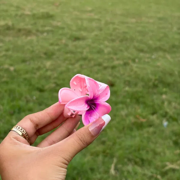 Pink_Abs_Plastic_Flower_Korean_Claw_Clip_For_Women_(Pack_Of_7)