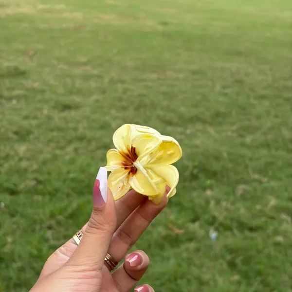 Yellow_Abs_Plastic_Flower_Korean_Claw_Clip_For_Women_(Pack_Of_7)