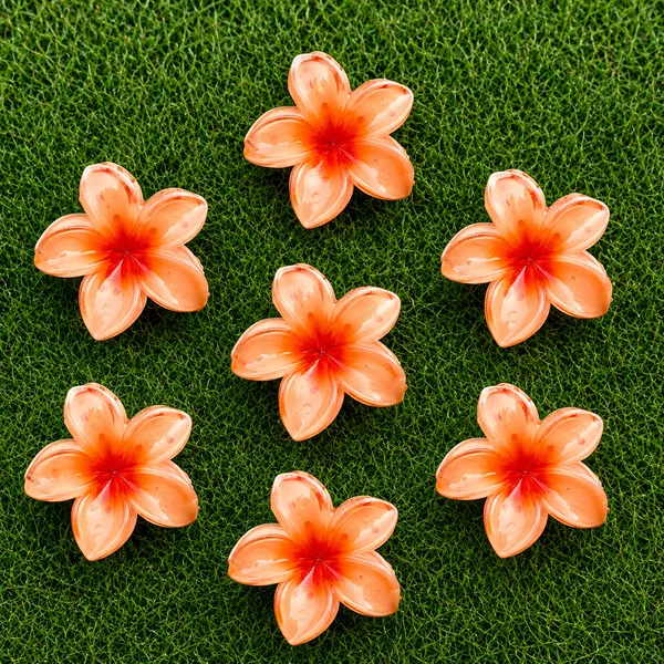 Orange_Abs_Plastic_Flower_Korean_Claw_Clip_For_Women_(Pack_Of_7)