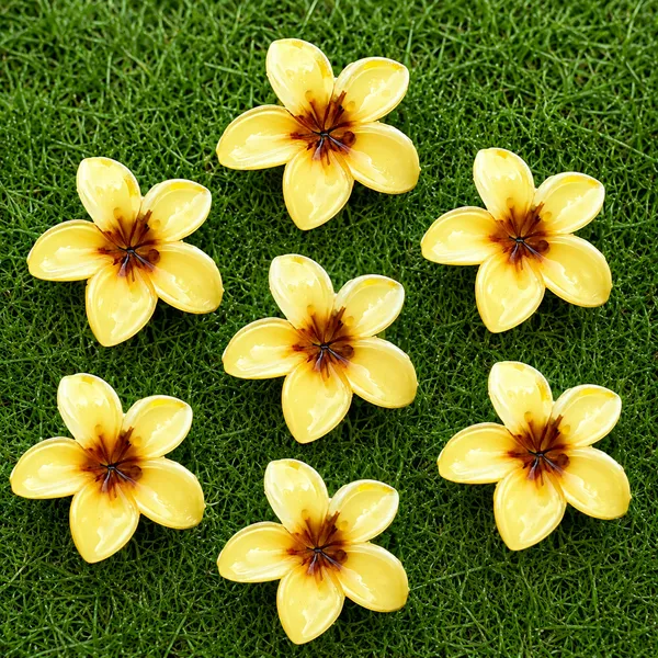 Yellow_Abs_Plastic_Flower_Korean_Claw_Clip_For_Women_(Pack_Of_7)
