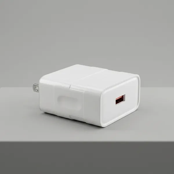 100W_Premium_USB__Fast_Adapter_With_Type-C_Cable
