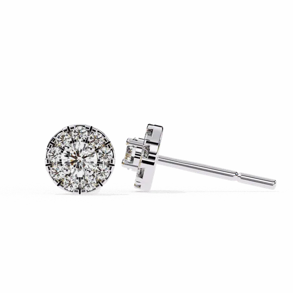 Silver_925_Sterling_Round_Duo_Stud_Moissanite_Earrings_For_Women