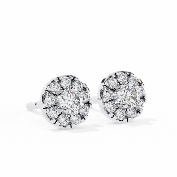 Silver_925_Sterling_Round_Duo_Stud_Moissanite_Earrings_For_Women