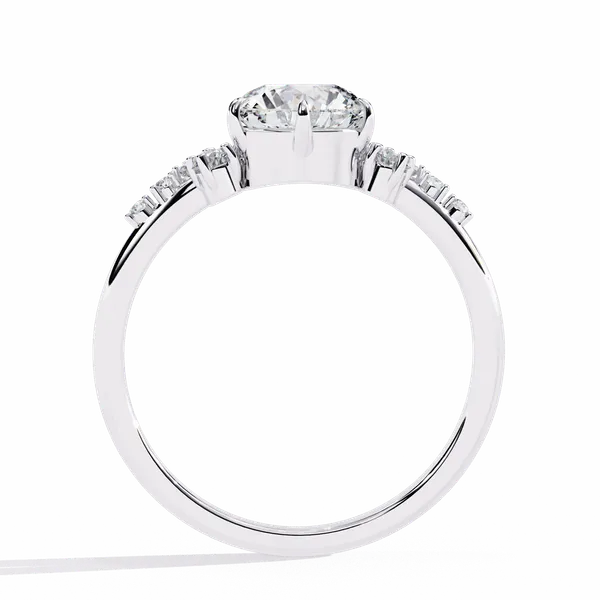 Silver_925_Sterling_Round_Cut_Day_And_Night_Moissanite_Ring_For_Women