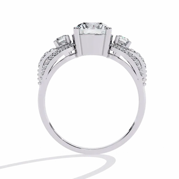 Silver_925_Sterling_Day_And_Night_Round_Cut_Moissanite_Ring_For_Women