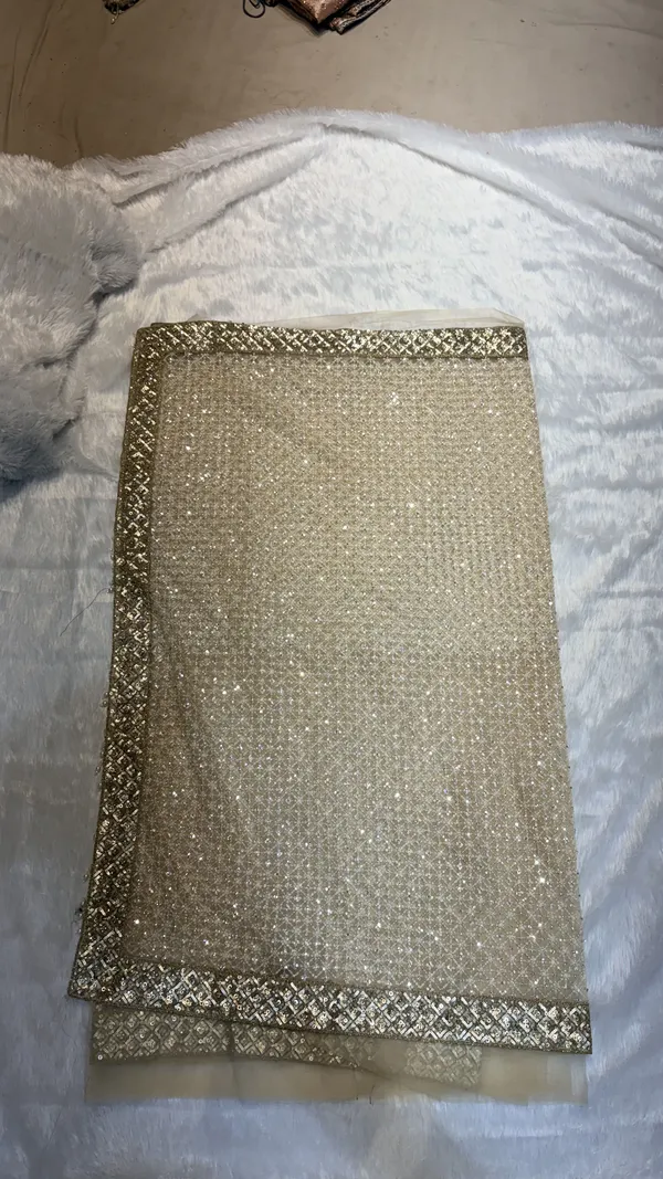 Cream_Net_Shimmer_Golden_Border_Embellished_Saree_For_Women