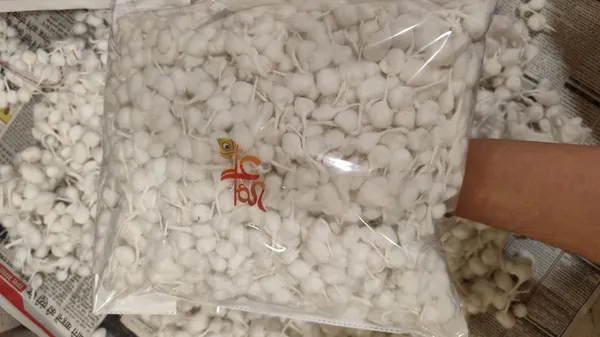 Gowardhan_Gol_Batti_made_of_cotton_(hard_touch)_pack_of_2