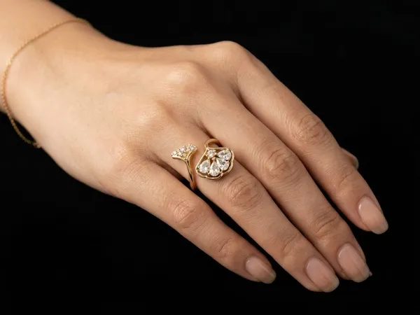 Aarsa_Premium_Rose_Gold_Plated_Butterfly_Wing_Adjustable_Ring_For_
__Women_&_Girls_|_Brass_Cz_Korean_Style_Designer_Daily_Wear_Ring