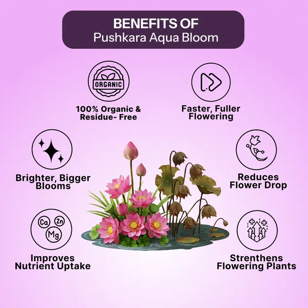 Aqua_Bloom_Aquatic_Plant_Growth_Booster_60ml