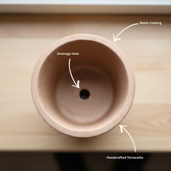 Rounded_Cup_Shaped_Hand_Painted_Terracotta_Planter