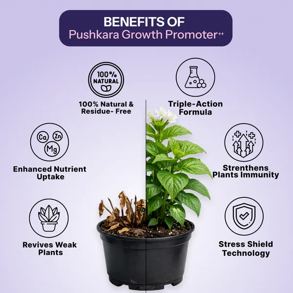 Growth_Promoter_Ready_To_Use_All_In_One_Plant_Tonic_500MI