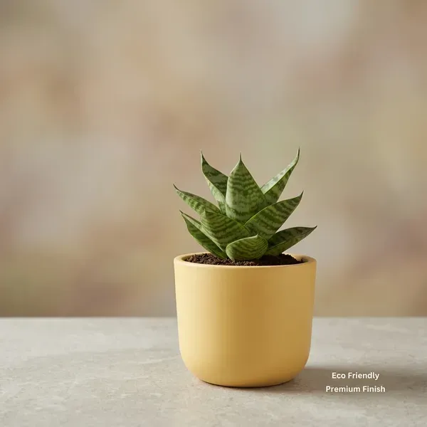 Earthtone_Premium_Handmade_Terracotta_Planter_Yellow