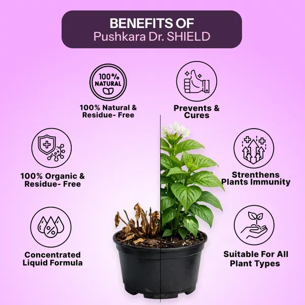 Dr_Shield_All_In_One_Plant_Protection_Concentrate_200mi