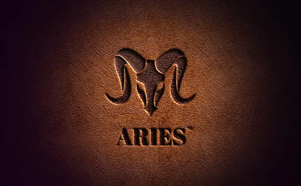Aries_Vegan_Leather_Men_Wallet_Brown