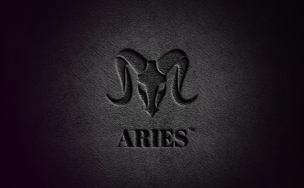 Aries_Vegan_Leather_Men_Wallet_Black