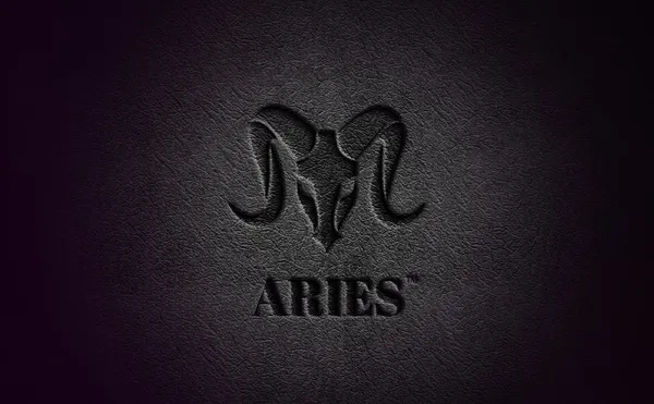 Aries_Vegan_Leather_Men_Wallet_With_Loop_Grey