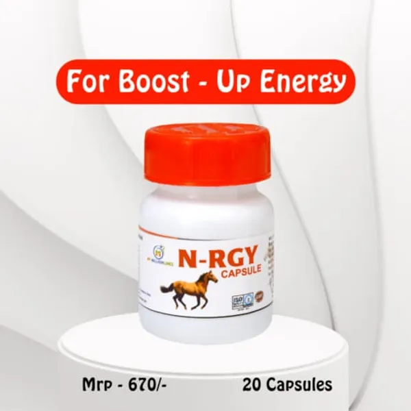 N-Rgy_Ayurvedic_Energy_Capsules_For_Horses_With_Ashwagandha