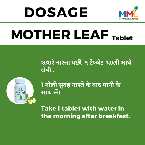 Ayurherb_Mother_Leaf_Herbal_Tablets_For_Immunity_And_Vitality