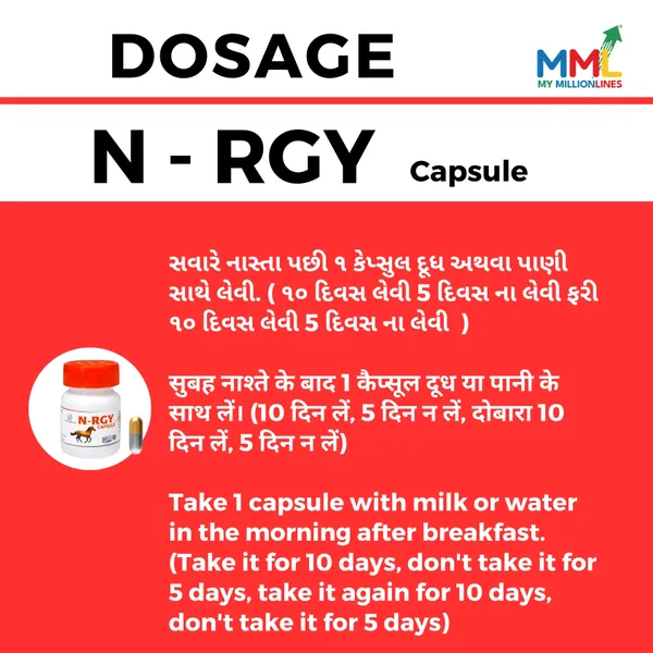 N-Rgy_Ayurvedic_Energy_Capsules_For_Horses_With_Ashwagandha