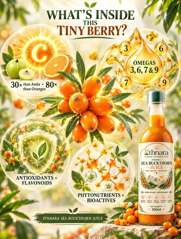 Buy_1_Get_1_Free_Sea_Buckthorn_Juice_500ml_+_500ml_|_Omega_3_6_7_9_Rich_Superfruit_|_High_Vitamin_C_|_Immunity_Booster_|_Skin_&_Hair_Health_Drink