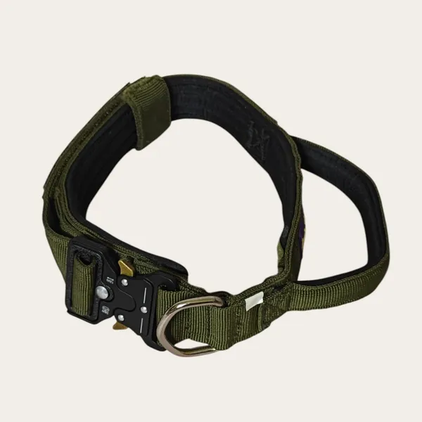 Velvet_Walk_Guardian_Tactical_Collar