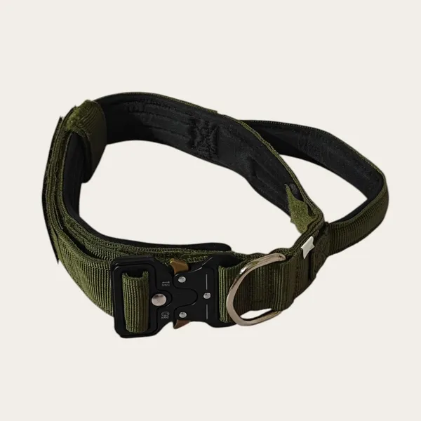 Velvet_Walk_Guardian_Tactical_Collar