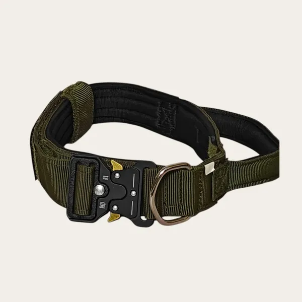 Velvet_Walk_Guardian_Tactical_Collar
