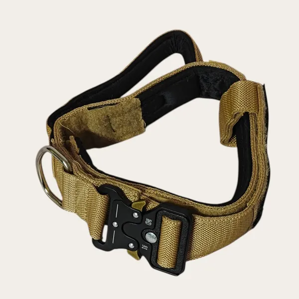 Velvet_Walk_Guardian_Tactical_Collar