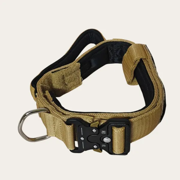 Velvet_Walk_Guardian_Tactical_Collar