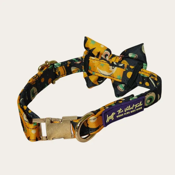 Velvet_Walk_Dapper_Bow_Collar