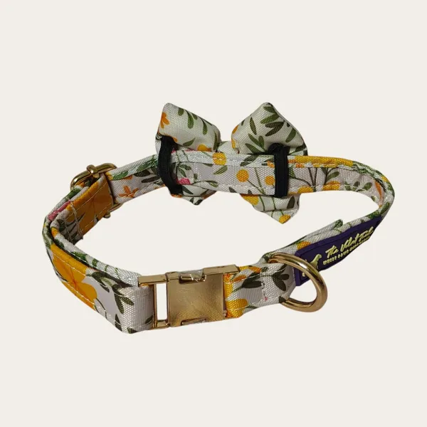 Velvet_Walk_Dapper_Bow_Collar