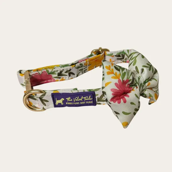 Velvet_Walk_Dapper_Bow_Collar
