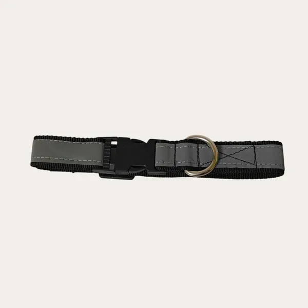 Velvet_Walk_SafeGlow_Reflective_Collar