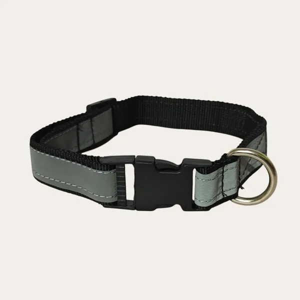 Velvet_Walk_SafeGlow_Reflective_Collar