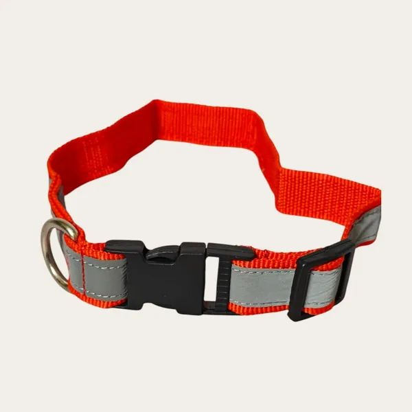Velvet_Walk_SafeGlow_Reflective_Collar