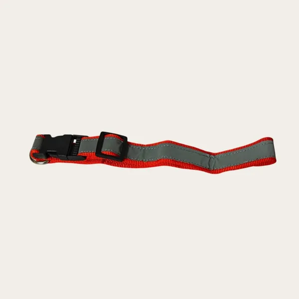 Velvet_Walk_SafeGlow_Reflective_Collar