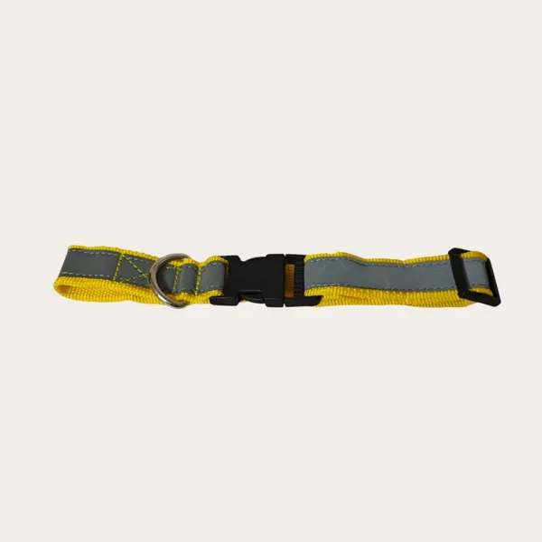 Velvet_Walk_SafeGlow_Reflective_Collar