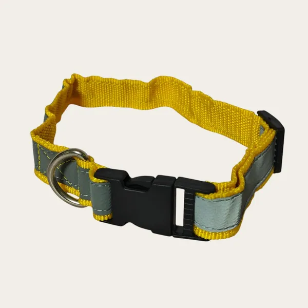 Velvet_Walk_SafeGlow_Reflective_Collar