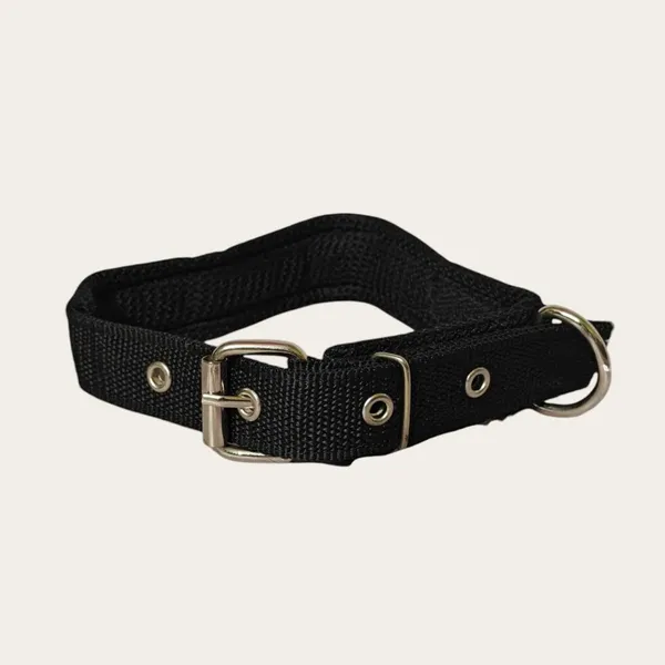 Velvet_Walk_Everyday_Comfort_Collar