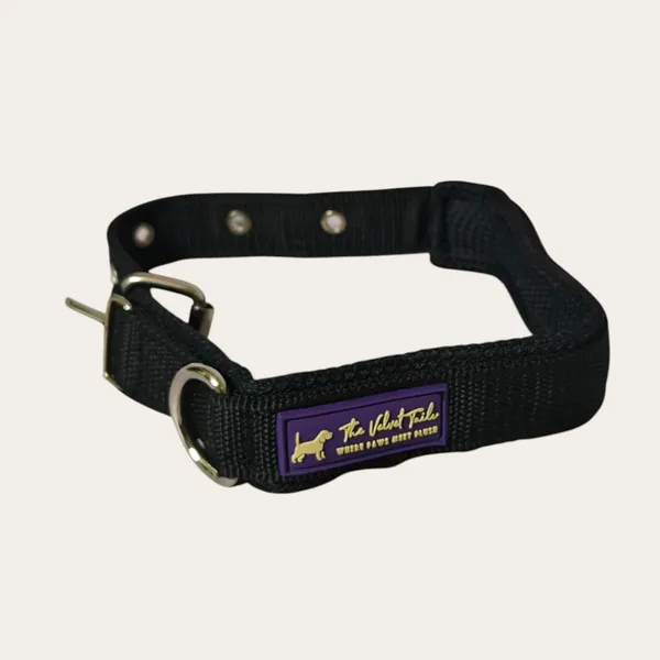 Velvet_Walk_Everyday_Comfort_Collar