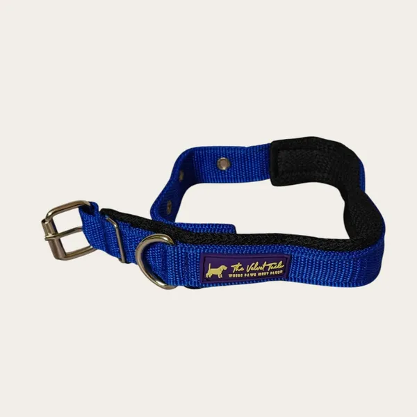 Velvet_Walk_Everyday_Comfort_Collar