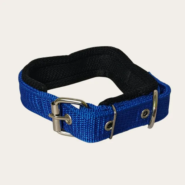 Velvet_Walk_Everyday_Comfort_Collar