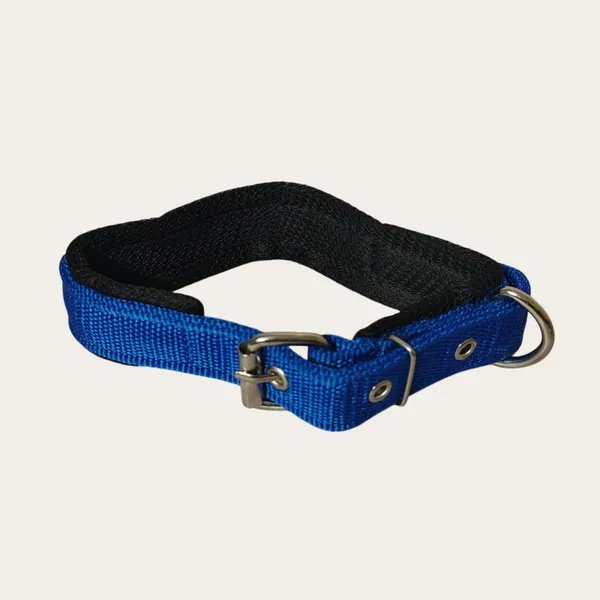 Velvet_Walk_Everyday_Comfort_Collar