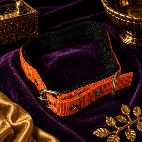 Velvet_Walk_Everyday_Comfort_Collar