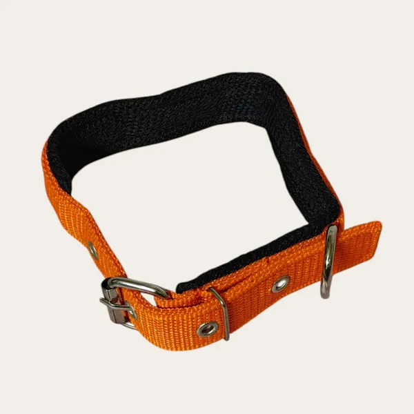 Velvet_Walk_Everyday_Comfort_Collar