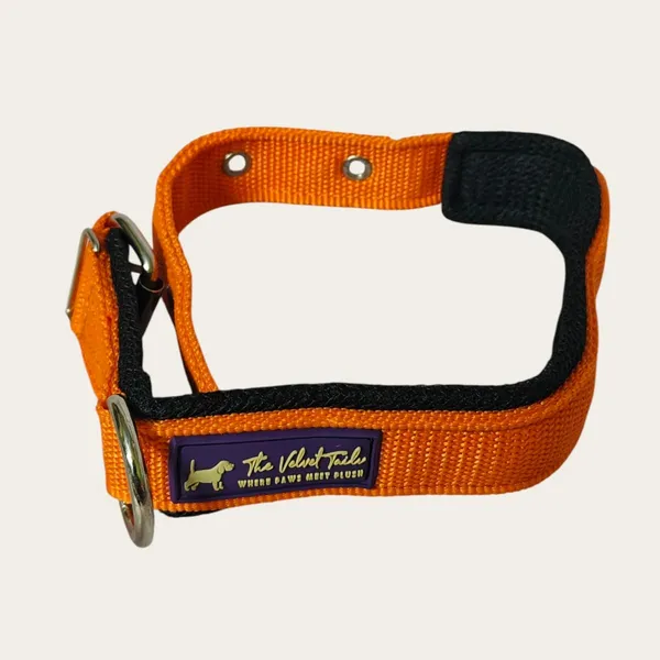 Velvet_Walk_Everyday_Comfort_Collar
