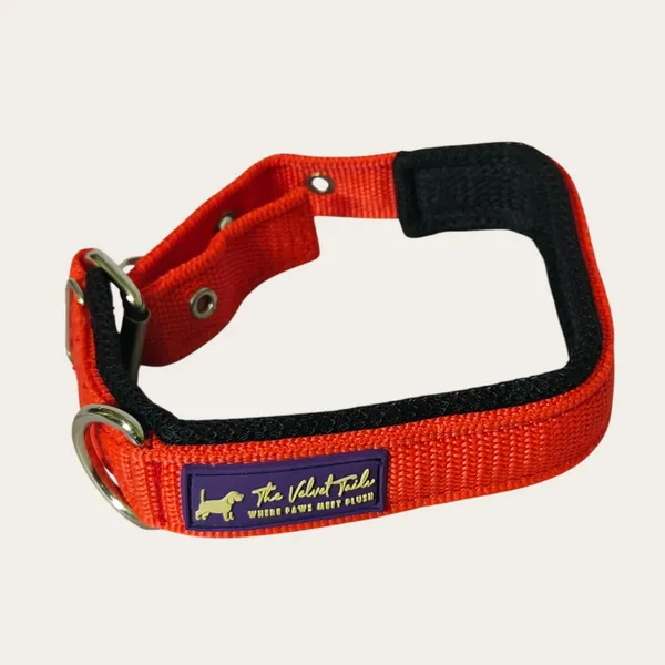 Velvet_Walk_Everyday_Comfort_Collar