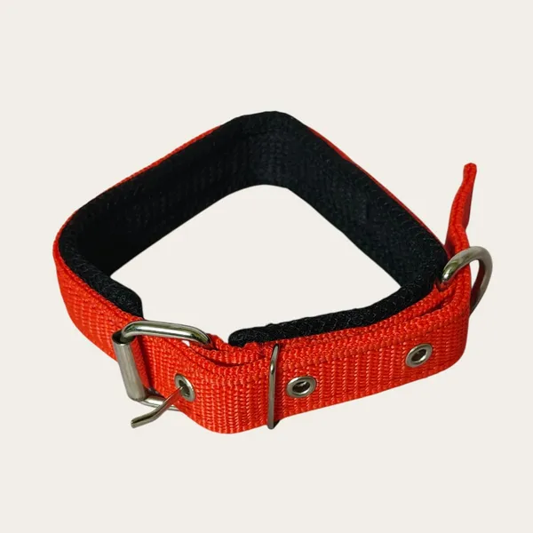 Velvet_Walk_Everyday_Comfort_Collar